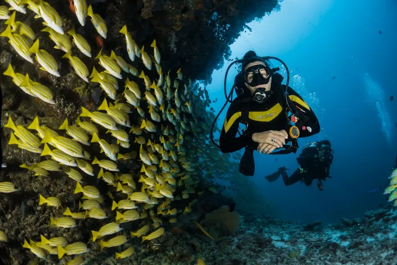 Alanya: Antalya Sahilinde Relax Tekne Turu